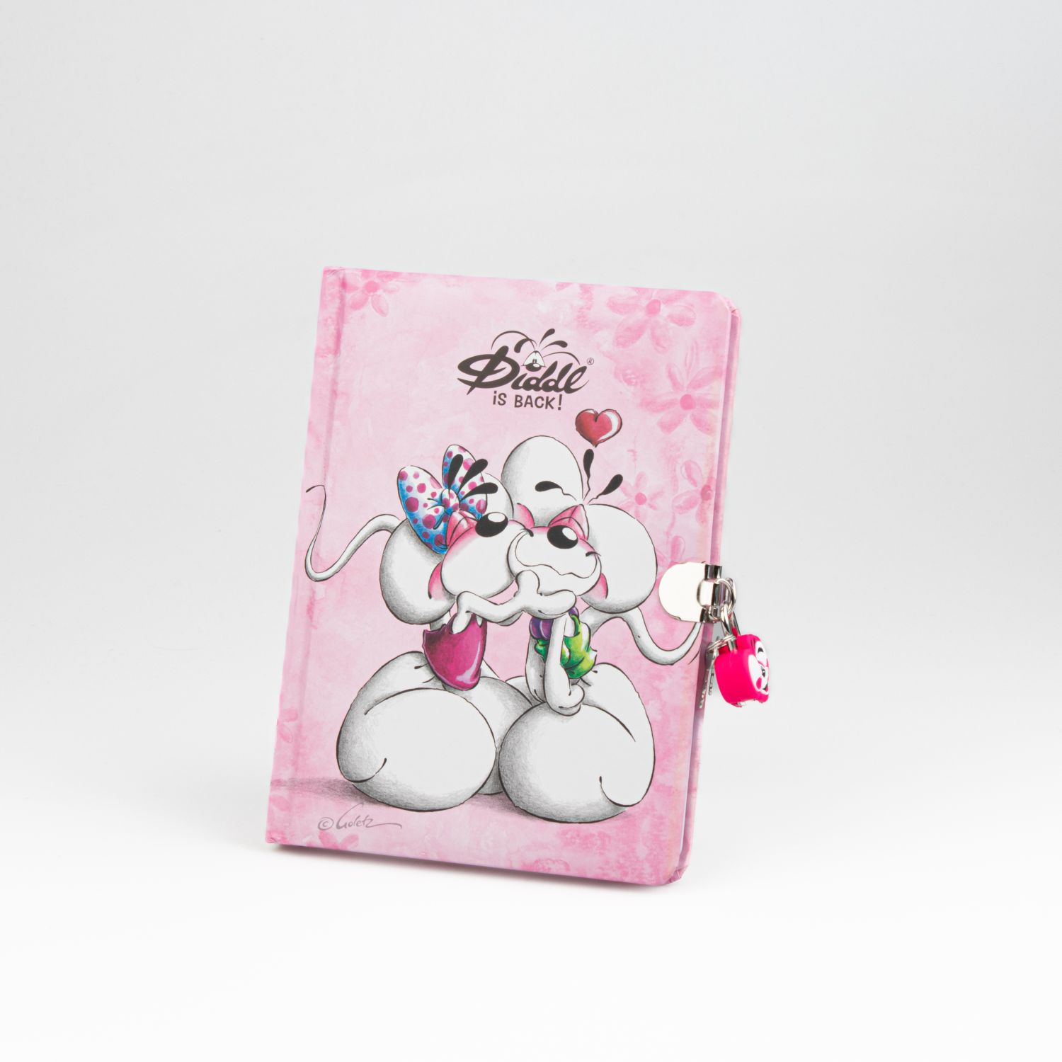 JOURNAL SECRET DIDDL