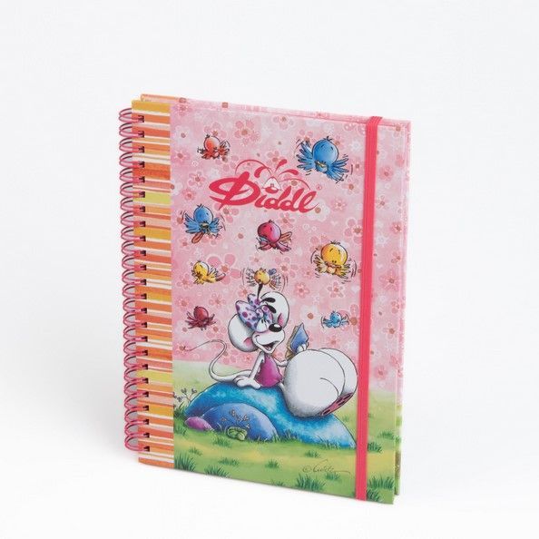  Cahier Diddlina rose oiseaux : un univers fleuri et coloré pour écrire avec le sourire