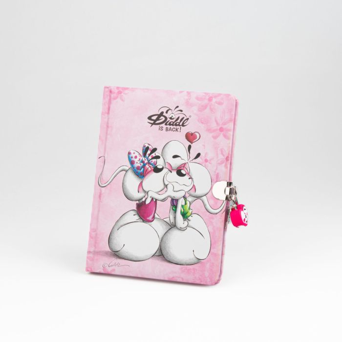 JOURNAL SECRET DIDDL