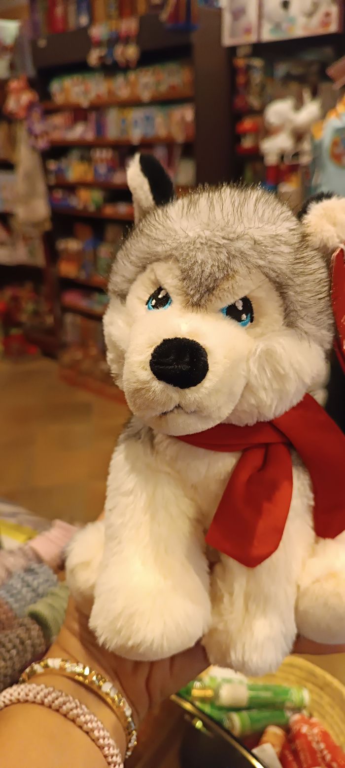 PELUCHE HUSKY KEELECO