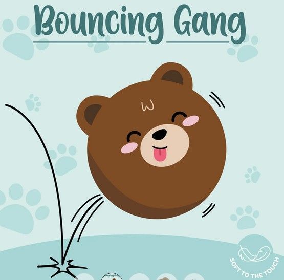 BALLE REBONDISSANTE TEDDY